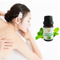 Peppermint Essential Oil Good for Skin